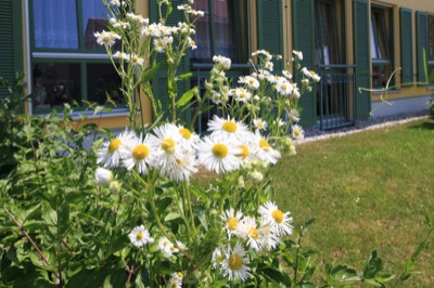 Pichlmayr Senioren-Zentrum Moosburg – Bild 13