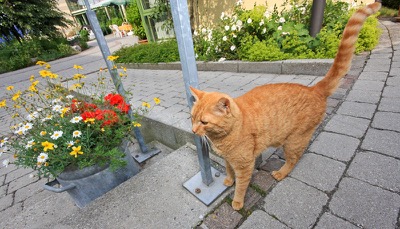 Pichlmayr Senioren-Zentrum Taufkirchen / Vils – Bild 7